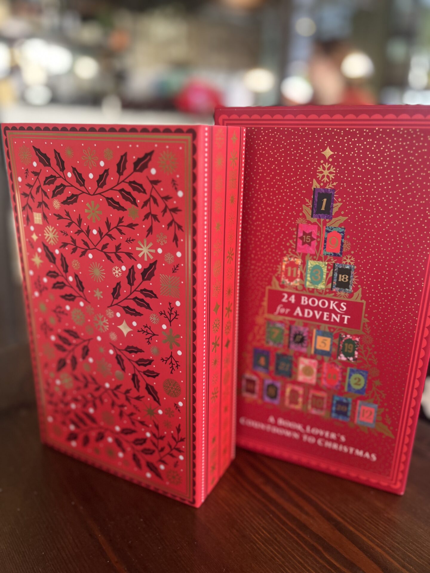 TWENTY-FOUR BOOKS FOR ADVENT: A BOOK LOVER'S COUNTDOWN TO CHRISTMAS | PRE-ORDER | LIMITED AVAILABILITY - Image 3